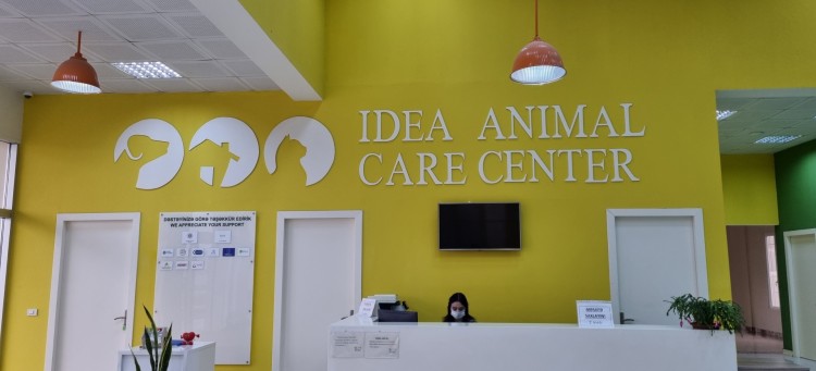 Kaspi International School - Trip to Idea Animal Care Center